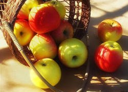 Яблочный Спас: особенности праздника  нового урожая