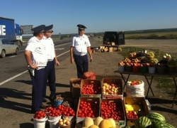 Губернатор Воронежской области предложил увеличить штрафы за придорожную торговлю 
