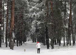 Настоящая зима придет в Борисоглебск на новой рабочей неделе