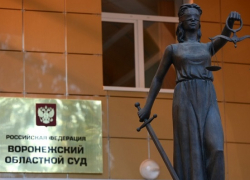 В Воронеже обсудили «забракованных» судей и выросшую подростковую преступность