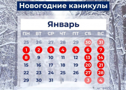 Жителям Воронежской области компенсируют два потерянных новогодних выходных 