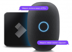 Жители Воронежской области приобрели 250 умных колонок с голосовым помощником «Маруся»