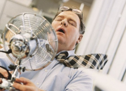 Роспотребнадзор порекомендовал работодателям нормы рабочего времени в жару