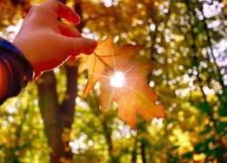 Сентябрь принесет с собой аномальную жару