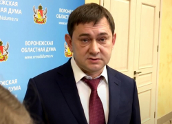 «Дорогие» депутаты Воронежской области решили увеличить траты на свой пиар
