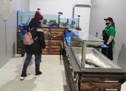 ТК «БАZАР» - рыбное место!!!