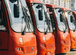 Воронежская область закупит оранжевые автобусы почти на 100 млн рублей