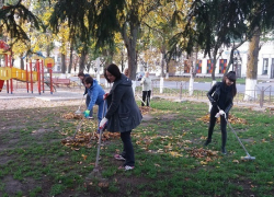 Борисоглебцы ударно потрудились на субботнике 