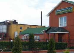 Новохоперский завод растительных масел хотят обанкротить