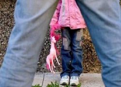 Детей в Воронежской области терроризируют педофилы и эксгибиционисты