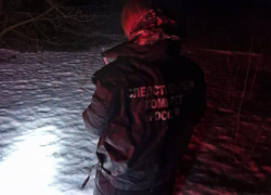 Борисоглебца, застрелившего женщину в поле, отправили в СИЗО