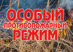 В Воронежской области отменили особый противопожарный режим