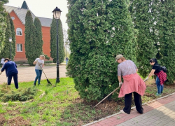 Борисоглебцев позвали на общегородской субботник