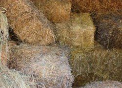 В Бутурлиновке тракторист украл  у фермера 200 тюков соломы