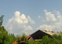 Аномальную жару до +37 градусов пообещали жителям Воронежской области синоптики