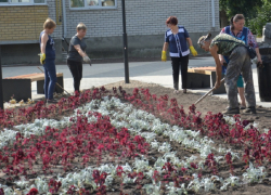 В Поворино в честь 150-летия города высадили 6,3 тыс. цветов