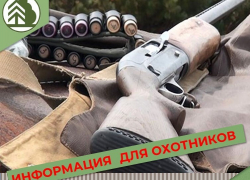 В Воронежской области вскоре начнется прием заявок на весеннюю охоту 