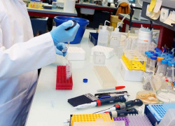 Воронежская область стала одним из лидеров смертельного рейтинга COVID-19