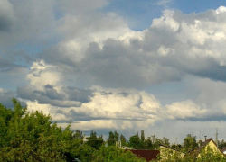 Синоптики рассказали, каким будет начало лета в Воронежской области