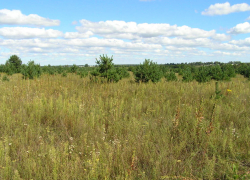 Борисоглебское сельхозпредприятие оштрафовали на 800 000 рублей