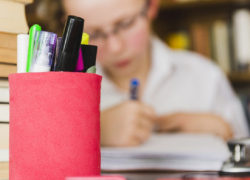 Утверждено расписание ЕГЭ на 2026 год