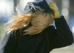 Спасатели предупредили жителей Воронежской области  о резком усилении ветра