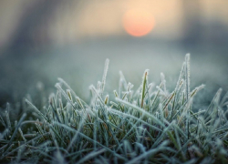 Спасатели предупредили о минусовой температуре в Воронежской области 