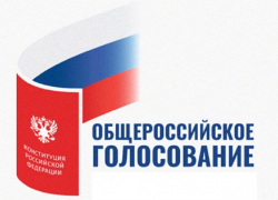 Большинство борисоглебцев против поправок в Конституцию, но промолчат об этом 