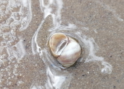 Начало недели не принесет борисоглебцам избавления от жары