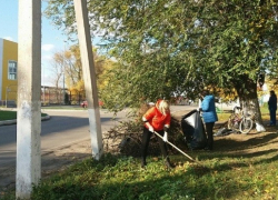 В Борисоглебском округе стартует месячник благоустройства