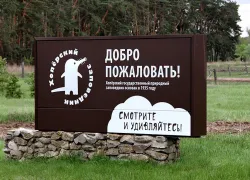 В Воронежской области создали дирекцию охраны парков и заповедников 