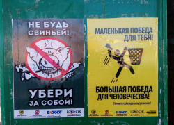 На улицах Борисоглебска появились плакаты, агитирующие за чистоту