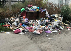 Грибановцы записали видео о вывозе мусора один раз в месяц