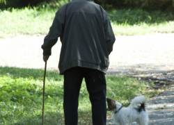 В Борисоглебске  вынесли приговор уличным грабителям, напавшим на пенсионера