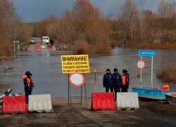 Уже девять низководных мостов затоплено в Воронежской области