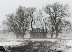 Естественная убыль населения превысила 60 тысяч человек за три года в Воронежской области