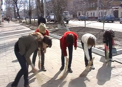 «Месячник благоустройства» в Борисоглебске объявили на месяц раньше
