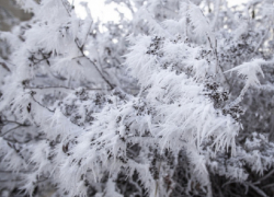 Штормовое предупреждение из-за аномальных холодов объявили в Воронежской области