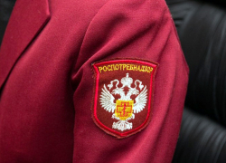 Роспотребнадзор по Воронежской области начал подготовку к новогодним праздникам