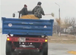 Борьба новохоперских коммунальщиков с гололедом слегка механизированным способом попала на видео