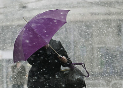 Синоптики предупредили жителей Воронежской области о сильном ветре