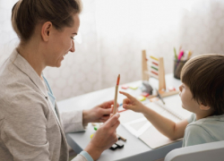 Комиссии по защите учителей до конца года начнут работу в Воронежской области 