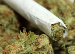 Сельскому «наркодилеру»  присудили 10 лет колонии строго режима