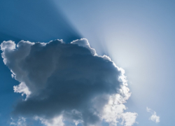 В Воронежской области в конце недели потеплеет до +20 градусов