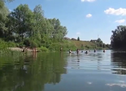 Губернатор  Воронежской области поручил соответствующим структурам изучить причины гибели детей на водных объектах