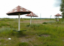 В администрации Борисоглебска обсудили проблему нехватки в округе благоустроенных пляжей