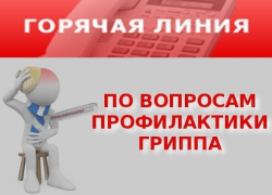 В Воронежской области начала работу горячая линия по вопросам профилактики гриппа и ОРВИ