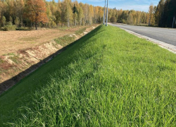 Гидропосев газона в Воронежской области: преимущества и особенности метода