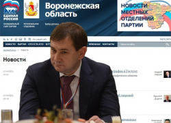 Новости воронежской «Единой России» сравнили с терапией чиновничьего цинизма