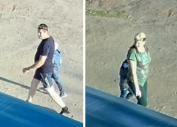 В Борисоглебске похитители собаки попали на видео